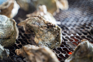 Grilled fresh oyster in Taiwan, famous street food.
