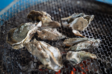Grilled fresh oyster in Taiwan, famous street food.