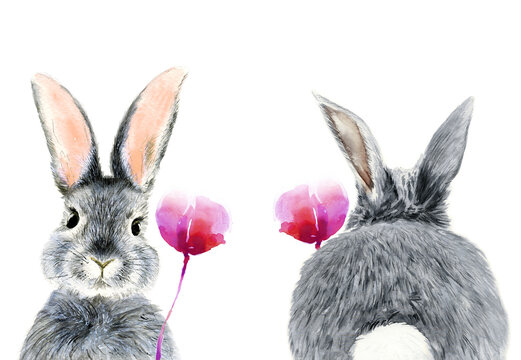 Watercolor illustration of a gray fluffy rabbit with long ears, front and back view, with a bright pink flower