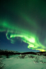 Fototapeta premium imagen de un paisaje nocturno nevado, con una aurora boreal en el cielo nocturno de Islandia 