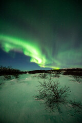 imagen de un paisaje nocturno nevado con una aurora boreal en el cielo de Islandia 