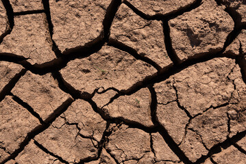 The texture of cracked dry earth.