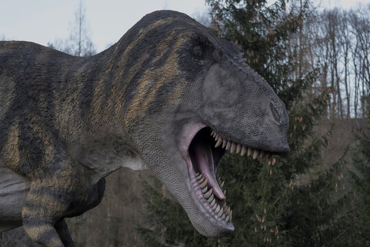 Polska Bałt&oacute;w 25 lutego 2023 godz. 16:44 . Kr&oacute;l drapieżnych jaszczur&oacute;w na tle drzew , tuż przed zachodem słońca . Tyranozaur rex z otwartą paszczą z ostrymi zębami . Park dinozaur&oacute;w w Bałtowie .