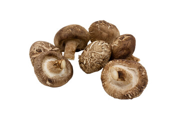Macro closeup of fresh shitake mushrooms group isolated on transparent background png