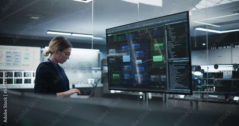 Poster Beautiful Multiethnic Lead Software Engineer Standing Alone in a Meeting Room, Using a Big TV Display to Review a Computer Program Created by Research and Development Department