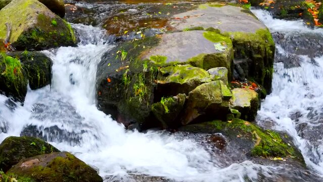 Mountain river with rocks in the forest, real time, panning, close up, hd.  ProRes 422 HQ.