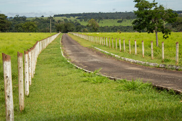 Fototapeta na wymiar Uma estrada de concreto feita no campo, levando a uma fazenda, com uma cerca e um pasto verde e fresco ao lado.