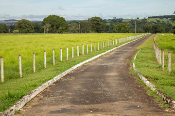 Fototapeta na wymiar Uma estrada de concreto feita no campo, levando a uma fazenda, com uma cerca e um pasto verde e fresco ao lado.
