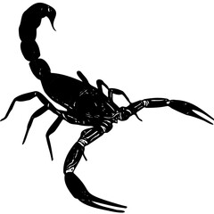 Scorpion silhouette