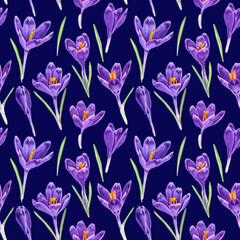 Seamless pattern of watercolor purple crocuses flowers. Hand drawn illustration. Botanical hand painted floral elements on dark blue background.