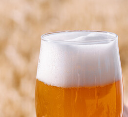 glass of beer against the background of wheat field