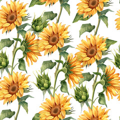 Sunflower seamless pattern. Yellow summer floral illustration isolated on white background. Repeating print for paper, fabric, wrapping