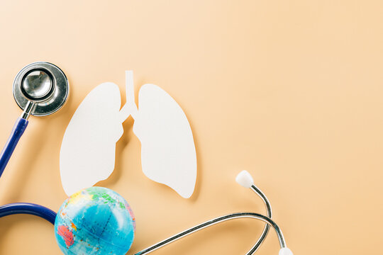 World tuberculosis day. Lungs paper cutting symbol and medical stethoscope on pastel background, copy space, concept of world TB day, banner background, respiratory diseases, lung cancer awareness