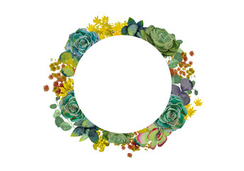 A collection of stylish watercolor succulents.Watercolor Set of succulents