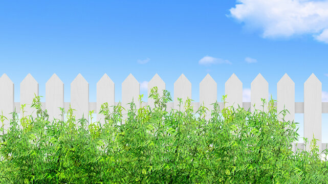 white wooden fence and green bush isolated,3D illustration