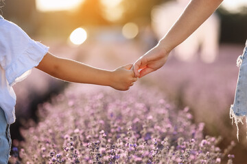 Happy family day. Mom holds her child daughter by hand in lavender field on summer day. Family...