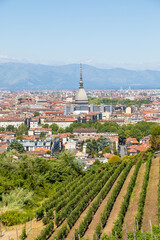 Fototapeta premium Turin, Italy - panorama with Mole Antonelliana monument, wineyard and Alps mountains