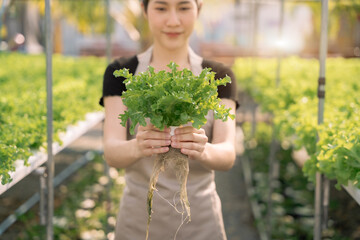 Asian woman picks vegetables from his backyard in the morning.