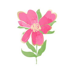 Naklejka na ściany i meble Blooming watercolor pink flower bud with golden lines. Abstract flower, stem and leaves of a peony rose. Botanical vector illustration isolated on white background
