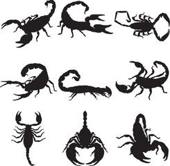 Black scorpion silhouette isolated on white, Silhouettes of various types of scorpion.
