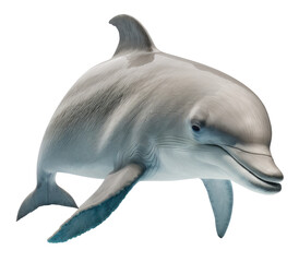 Grey dolphin isolated on transparent background. Generative AI