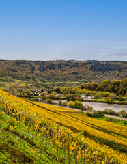 Fototapeta na wymiar Vertical shot of Senhals from the steep vineyard during autumn in Cochem-Zell district, Germany