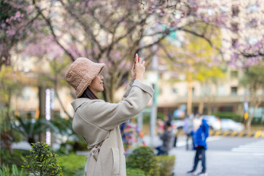 Woman take photo on cellphone of sakura flower