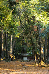日本　奈良県奈良市の奈良公園内にある春日大社の境内