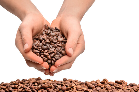 Hands with coffee beans, transparent background