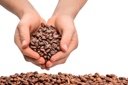 Hands with coffee beans, transparent background - Powered by Adobe