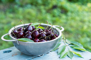 cherry berries on a blue wooden table in a colander, summer food, copy space