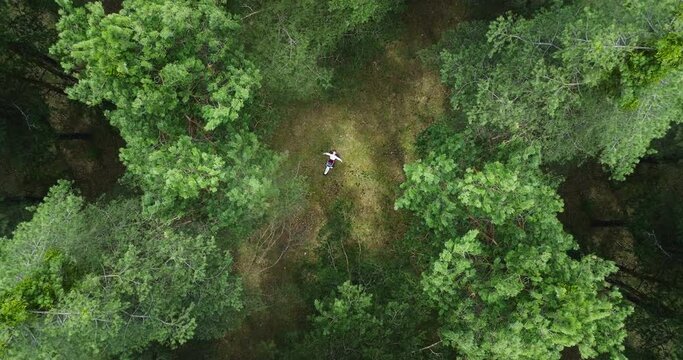 Bulgaria, beautiful green forest aerial top view of trees and bulgarian girl, woman in folklore dress laying on a morning spring grass, 4k video