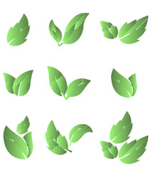 set of 3d leaves