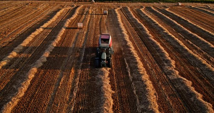 Agricultural farm tractor baler in action on a harvested wheat field