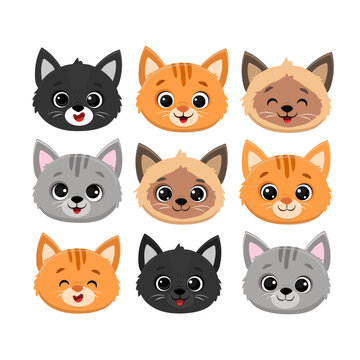 set of cute cartoon cat pet  faces.Icon of kittens heads.Siamese cat,ginger kitten,grey and black cat.Funny cats.Vector illustration