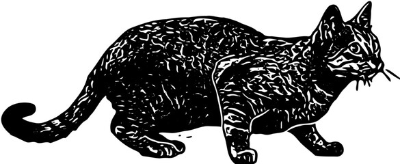 illustration of cat