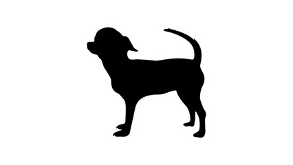 chihuahua silhouette