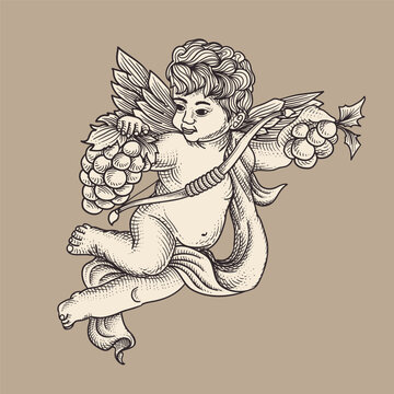 Sketch of cupid with bunch of grapes. Vector illustration.
