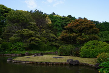 小石川植物園、小石川、植物園、koishikawa、日本、公園、庭園、日本庭園、植物、木、池、緑、自然、東京、