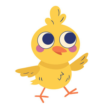 cute chick spring