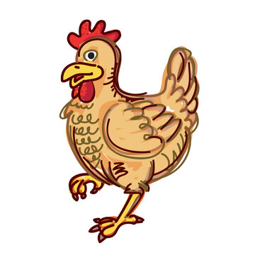 chicken vector illustration