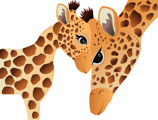 Baby giraffe and giraffe cartoon vector illustration
