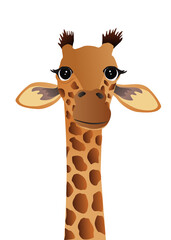 Giraffe cartoon vector illustration for background