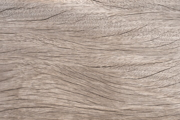 Light brown wood surface old beautiful natural cracks on the surface for background texture and copy space
