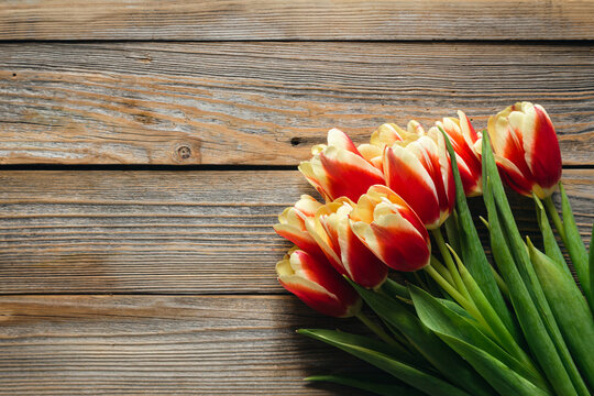 Stylish greeting card. Fresh tulips on wooden background, flat lay. Floral Greeting card template with space for text. Happy women's day. Happy Mother's day, copy space.