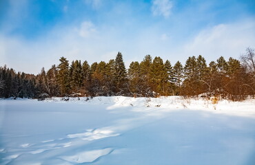 Winter landscape with Christmas trees and other trees on the bank of a snowy river against a cloudy sky