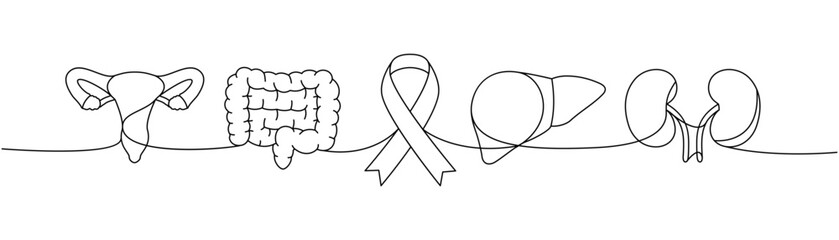 Reproductive system, intestines, liver, kidneys one line continuous drawing. Cancer awareness ribbon, AIDS ribbon continuous one line illustration.