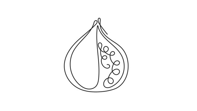 One line fig animation. Continuous fruits and vegetables clip. Natural, healthy food for life and diets. Nutric products video in sketch style.