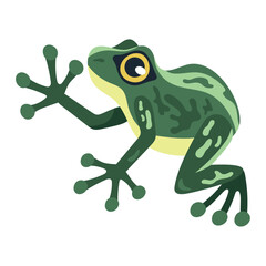green frog exotic animal