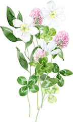 Watercolor images of clover, pink and white flowers, png